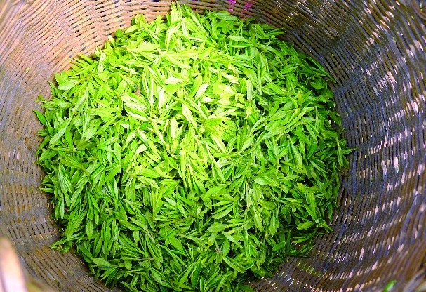 longjing-3